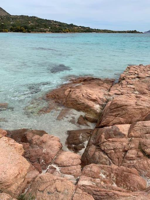 Palazzo Iolei - Zia Lidia Lägenhet Olbia Exteriör bild